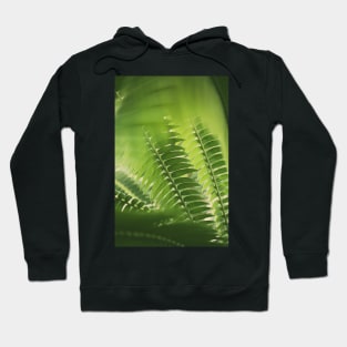 The Green Light #4 Hoodie